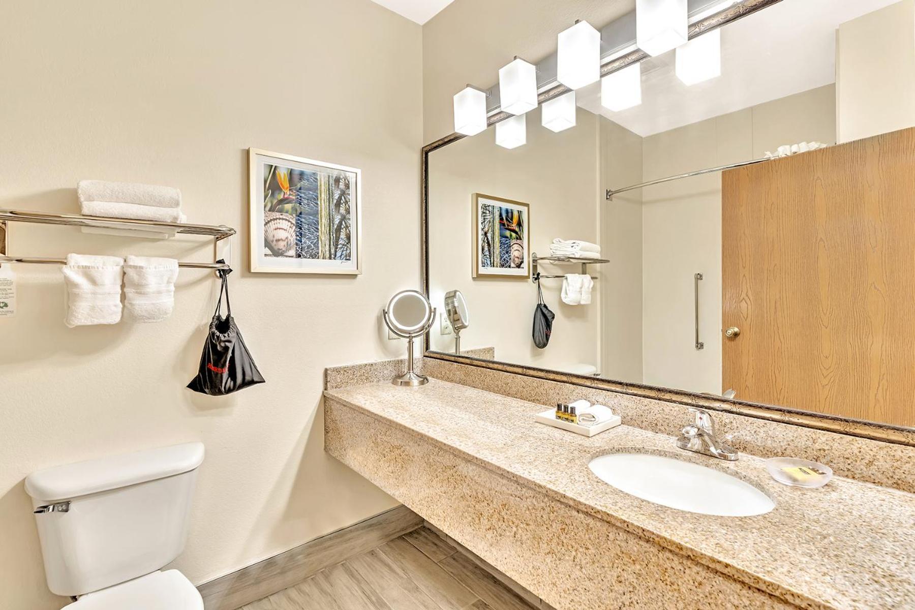 Best Western Plus Lewisville Flower Mound Стая снимка